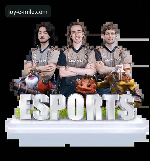 米乐体育APP官网下载与使用全指南：资深用户的实用经验分享