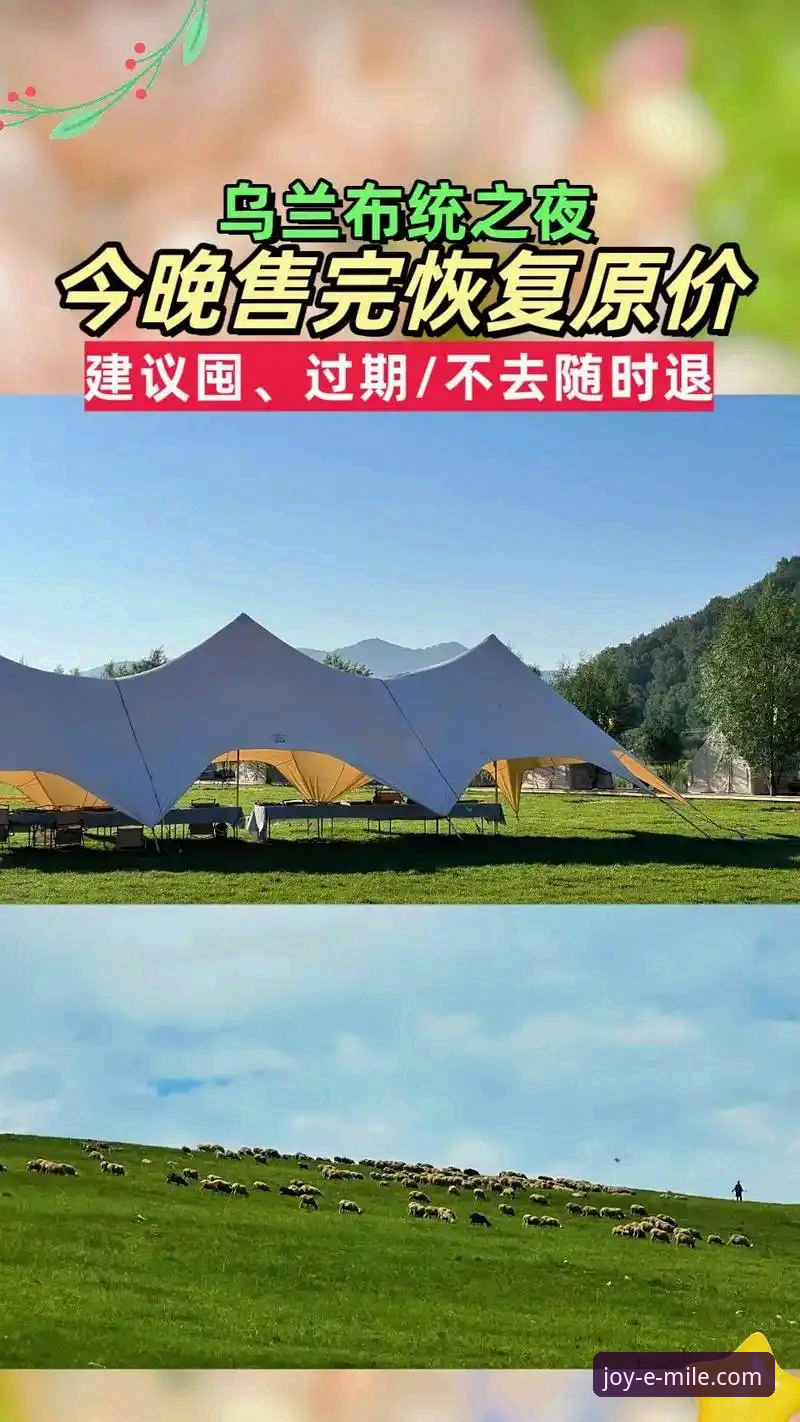 选择米乐体育平台的3大核心理由与官方下载全攻略